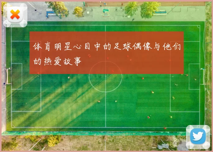 体育明星心目中的足球偶像与他们的热爱故事