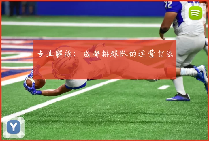 专业解读：成都排球队的运营打法