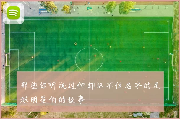 那些你听说过但却记不住名字的足球明星们的故事