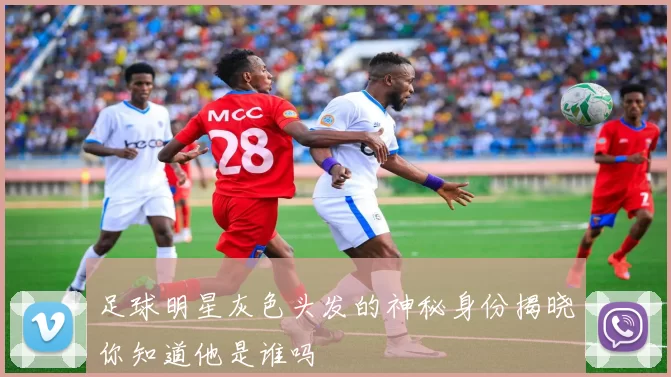 足球明星灰色头发的神秘身份揭晓你知道他是谁吗