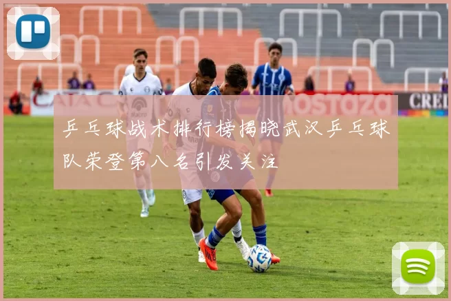 乒乓球战术排行榜揭晓武汉乒乓球队荣登第八名引发关注