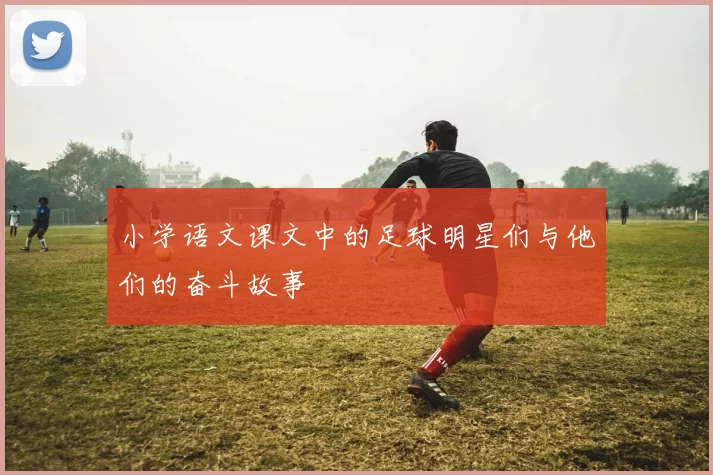 小学语文课文中的足球明星们与他们的奋斗故事