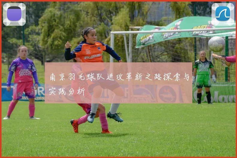 南京羽毛球队进攻革新之路探索与实践分析