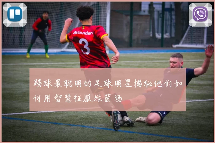 踢球最聪明的足球明星揭秘他们如何用智慧征服绿茵场