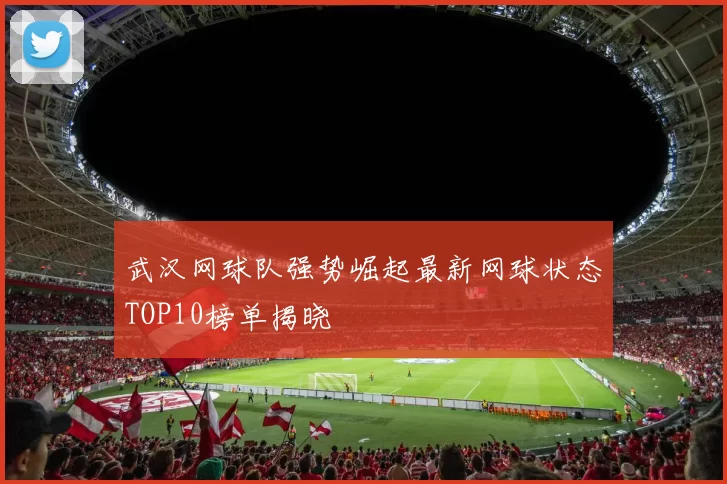 武汉网球队强势崛起最新网球状态TOP10榜单揭晓