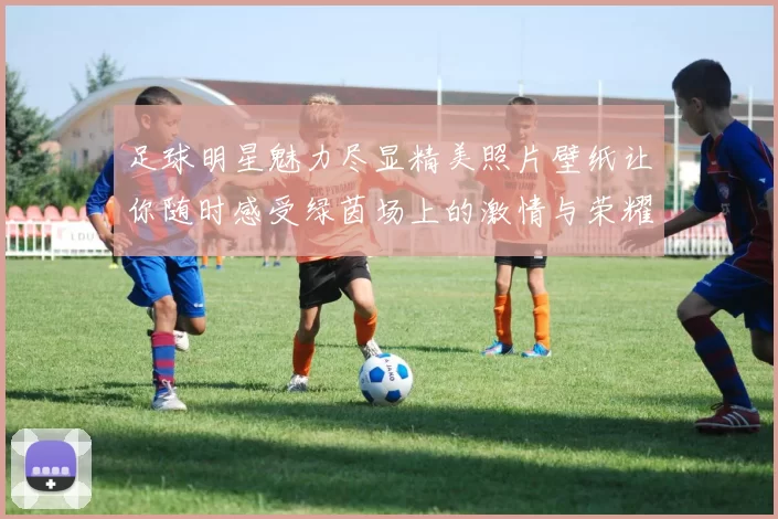 足球明星魅力尽显精美照片壁纸让你随时感受绿茵场上的激情与荣耀