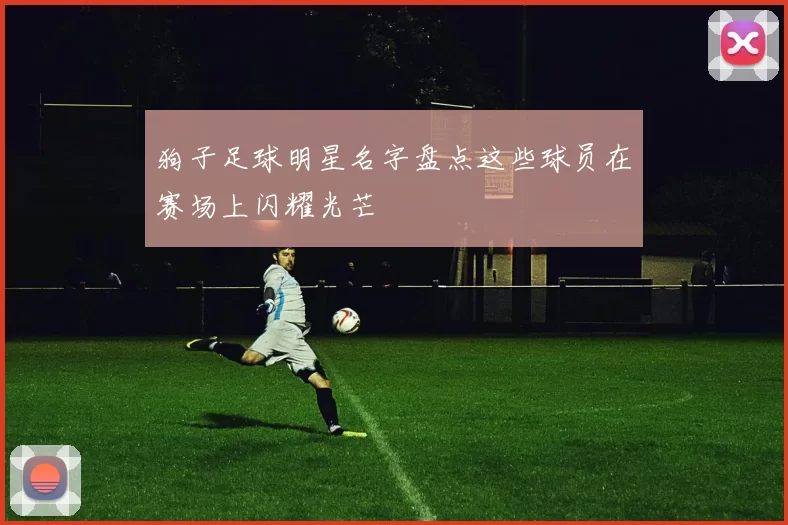 狗子足球明星名字盘点这些球员在赛场上闪耀光芒