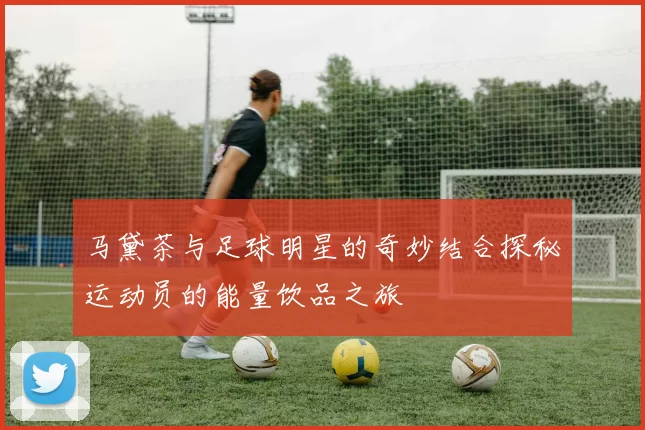 马黛茶与足球明星的奇妙结合探秘运动员的能量饮品之旅