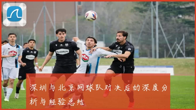深圳与北京网球队对决后的深度分析与经验总结