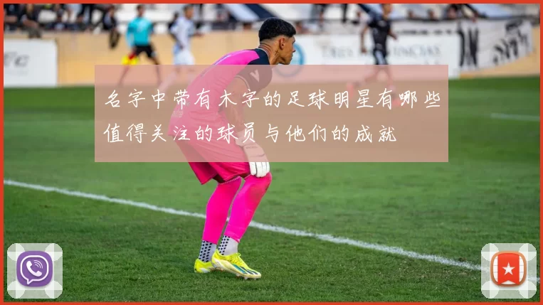 名字中带有木字的足球明星有哪些值得关注的球员与他们的成就