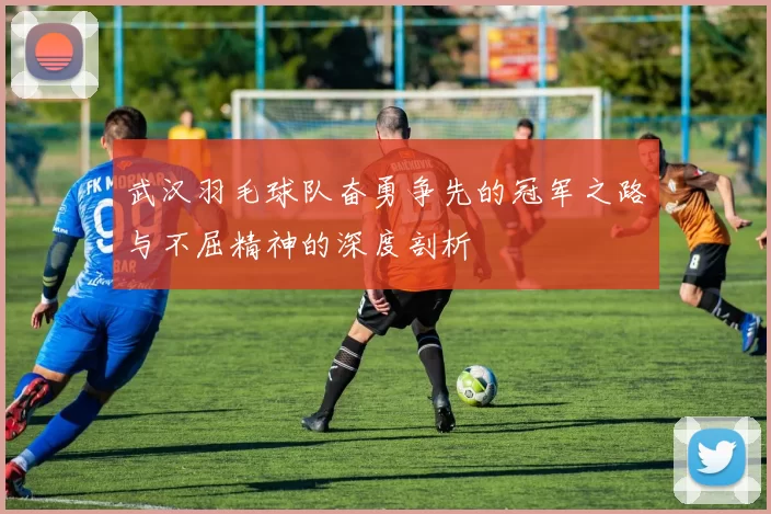 武汉羽毛球队奋勇争先的冠军之路与不屈精神的深度剖析