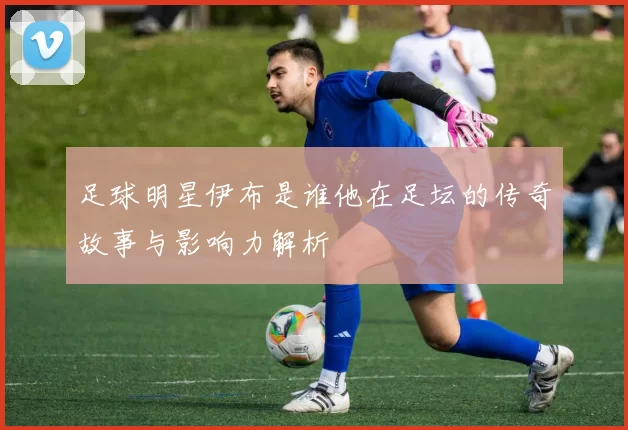 足球明星伊布是谁他在足坛的传奇故事与影响力解析