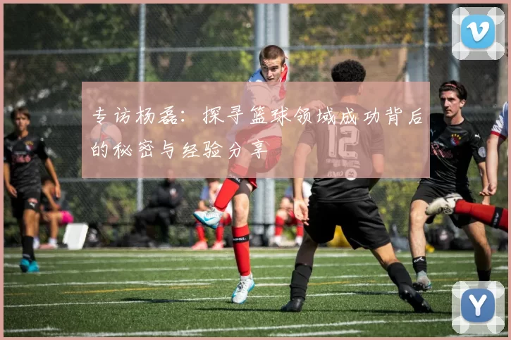 专访杨磊：探寻篮球领域成功背后的秘密与经验分享