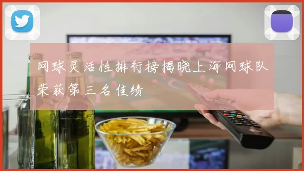 网球灵活性排行榜揭晓上海网球队荣获第三名佳绩